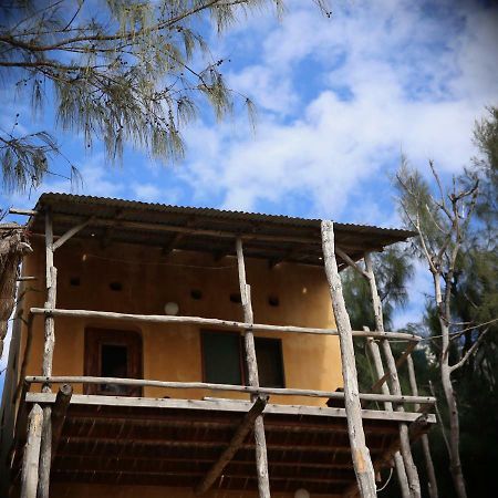 Tree House Cottage, Ocean View Praia do Praia do Tofo エクステリア 写真