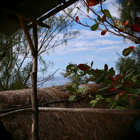Tree House Cottage, Ocean View Praia do Praia do Tofo エクステリア 写真